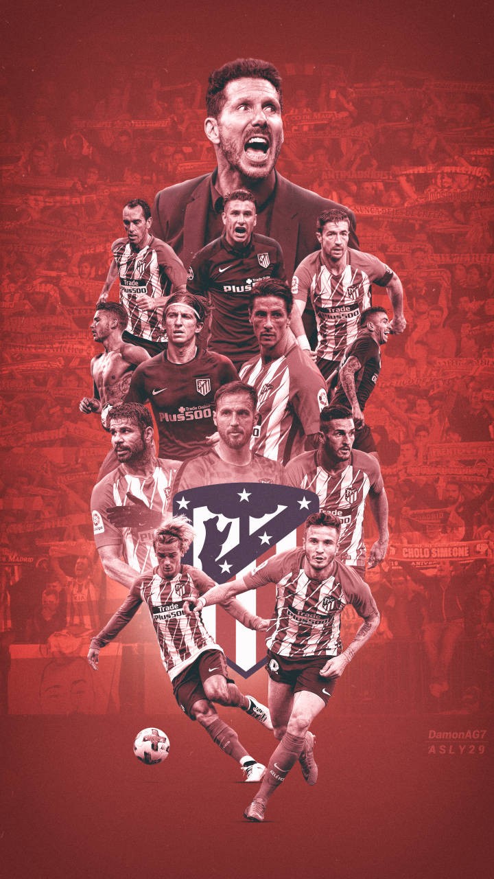 樊振东也没想到，香港火灾刚过一周，全红婵因一举动实现口碑暴涨